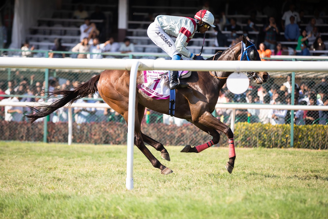 Is Legal Real Money Horse Racing Betting Legal in India? Complete 2027 Guide